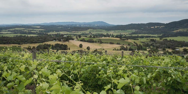 Australian Wine Australian wine regions