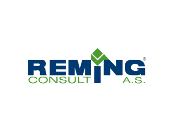 REMING CONSULT