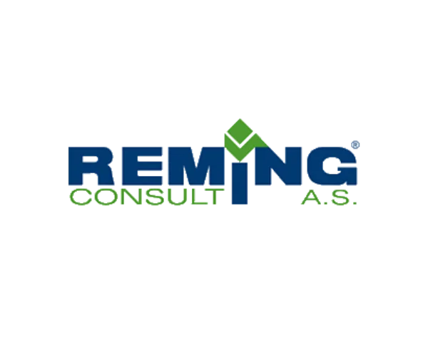 REMING CONSULT