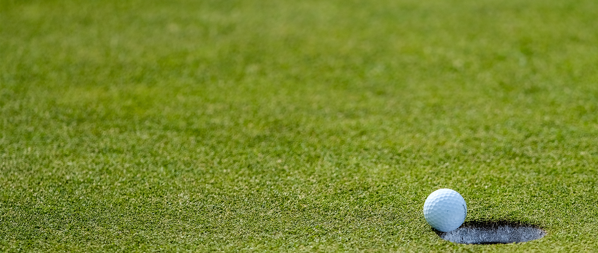 Reinstatement To Amateur Status