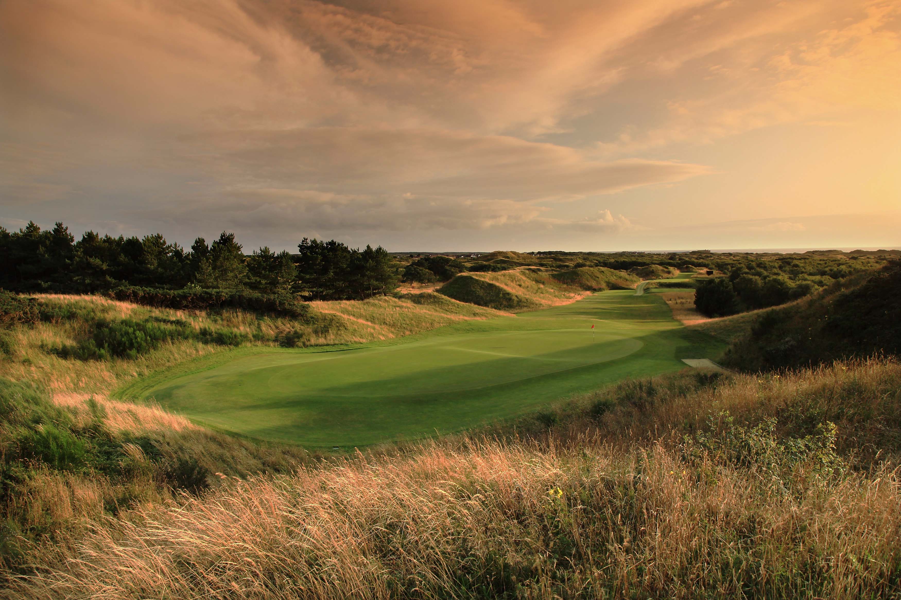 Amateur Championships in 2023 and 2024