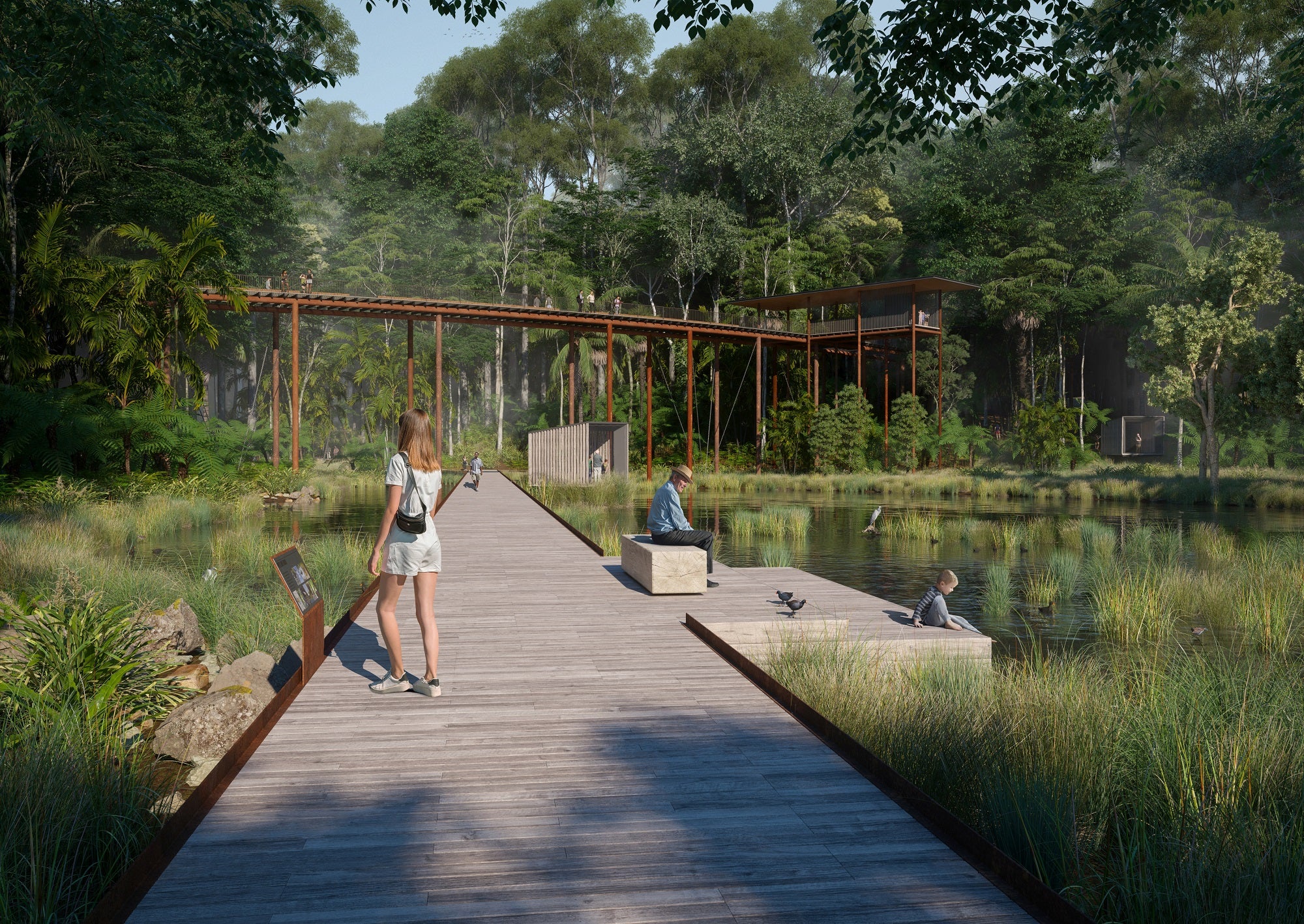 An artist impression of the Wetland Boardwalk and Treetop Bridge in the Sunshine Coast Ecological Park draft master plan. 