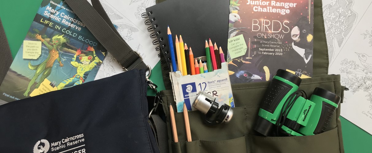 Junior Ranger Explorer