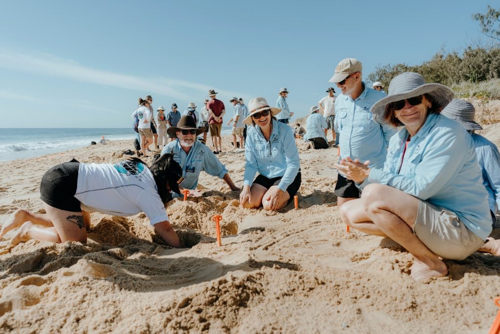 In Photos Turtle Training Day Success | OurSC