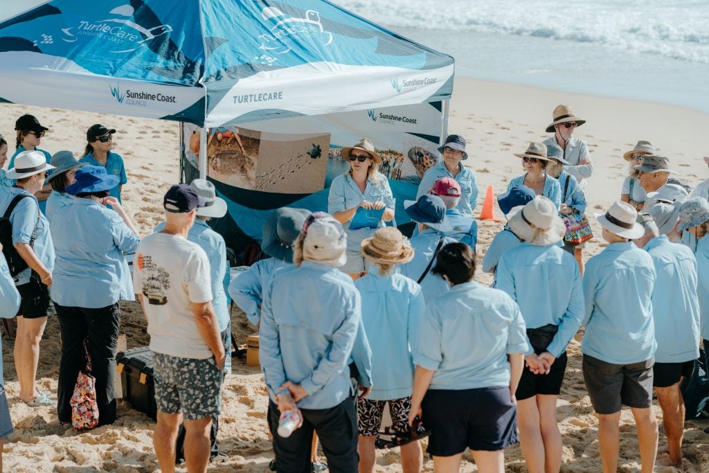 In Photos Turtle Training Day Success | OurSC