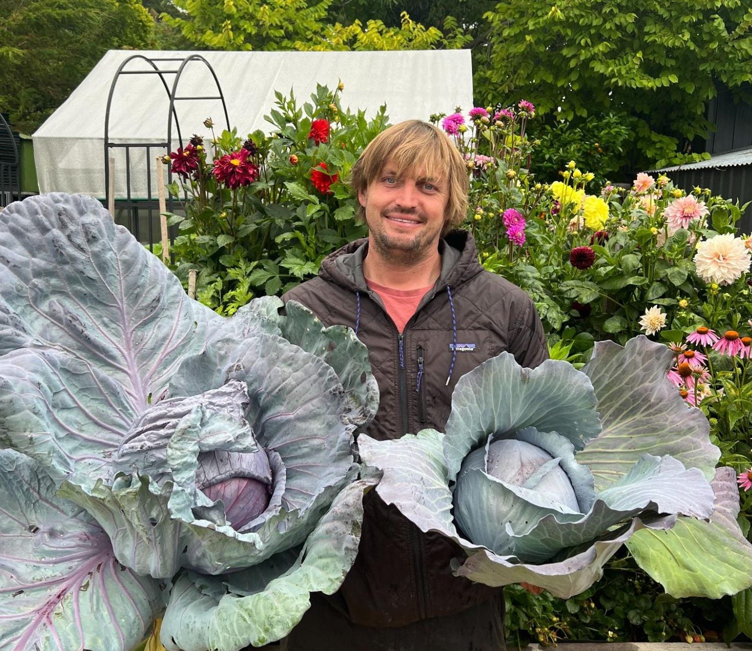 Free Online To Take Your Garden From Ho Hum To Holy Moly OurSC