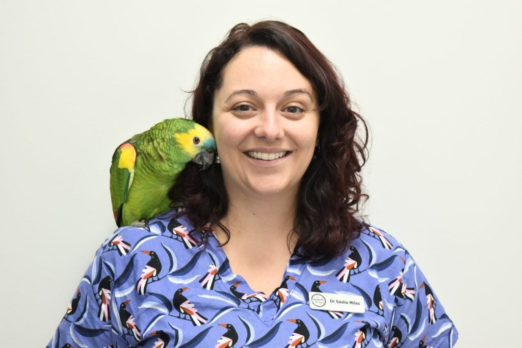 Dos And Donts Of Owning A Pet OurSC