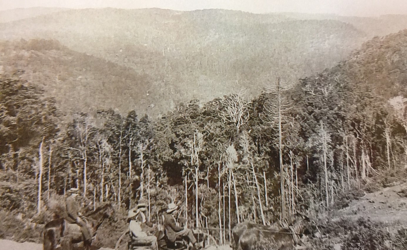 Connections with First Nations people