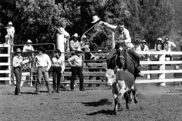 Backward Glance – 100 years on, the proud tradition of Kenilworth Show ...