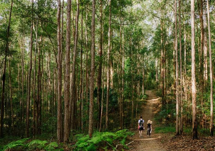 Maroochy Bushland Botanic Garden