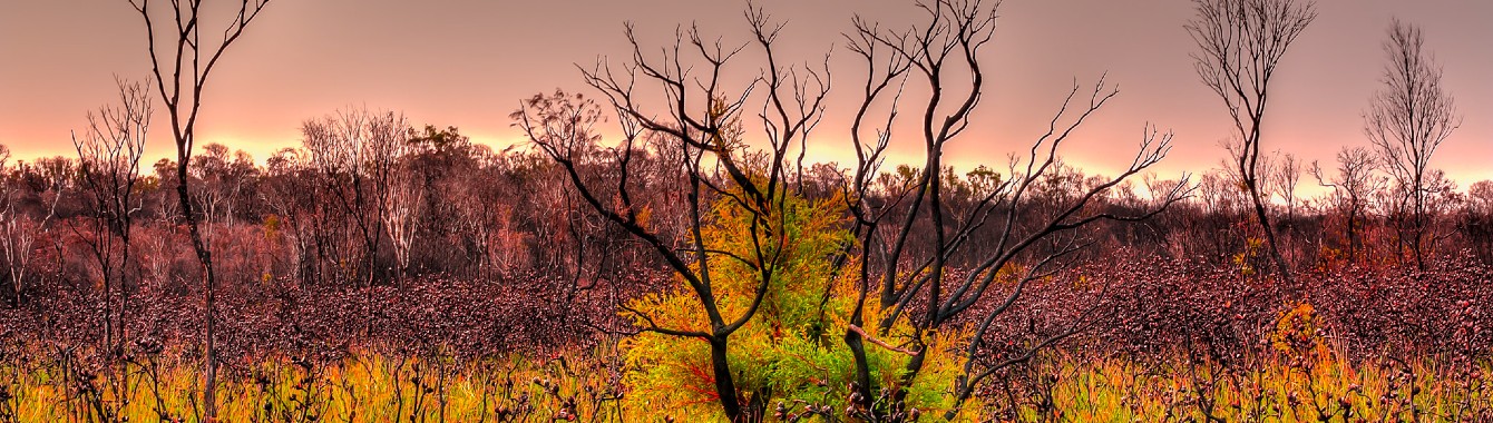 Climate Action Roadmap