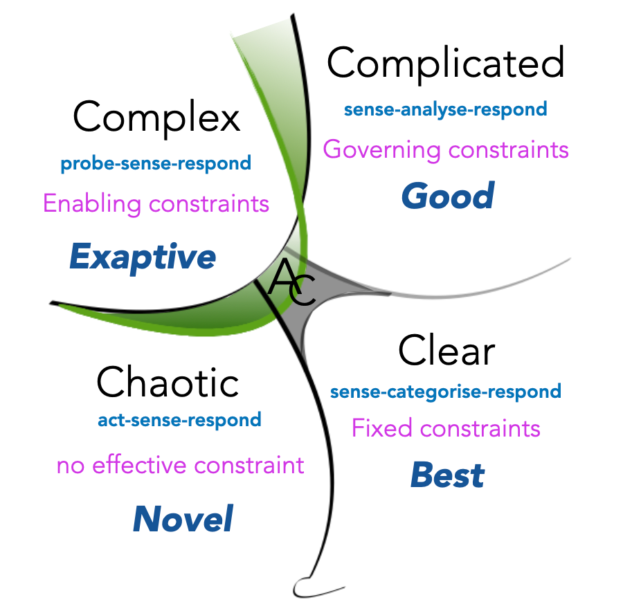 Cynefin framework: Find the right CX measurements to use by solving a major  metrics misconception