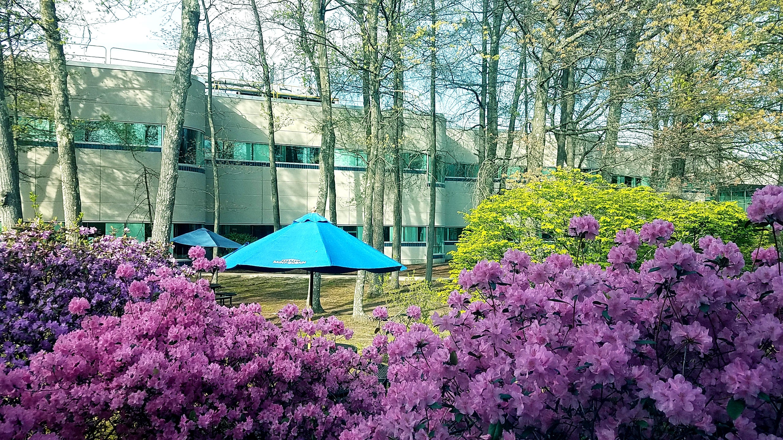 SaintGobain Research North America Wakefly, Inc.