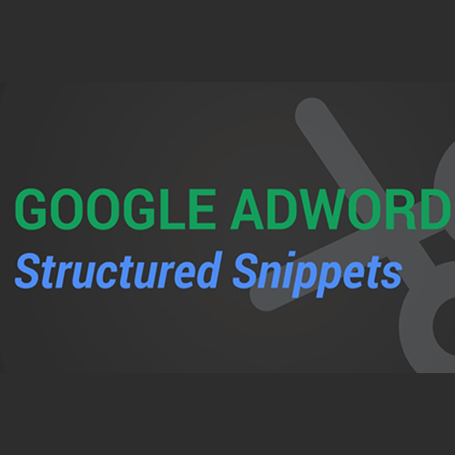 services strutured snippit services strutured snippit
