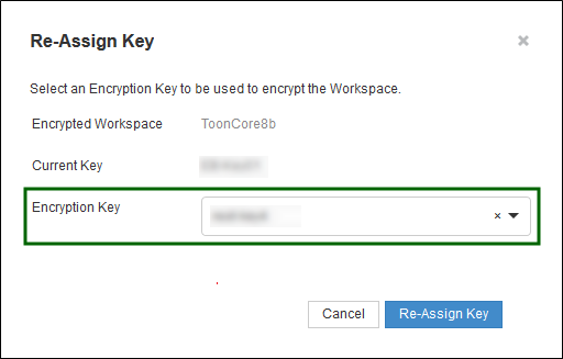 Re-Assign Key popup Select the Encryption Key you want and confirm