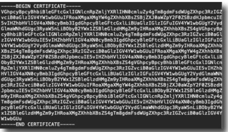 An example of what the "Public Certificate.pem" file should look like.