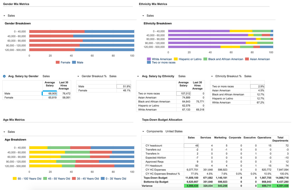 Gain insight into your current workforce's gender, age, and ethnicity breakdown by total company and customizable salary bands.