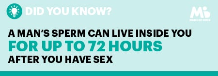 When Is the Best Time to Have Sex to Get Pregnant?