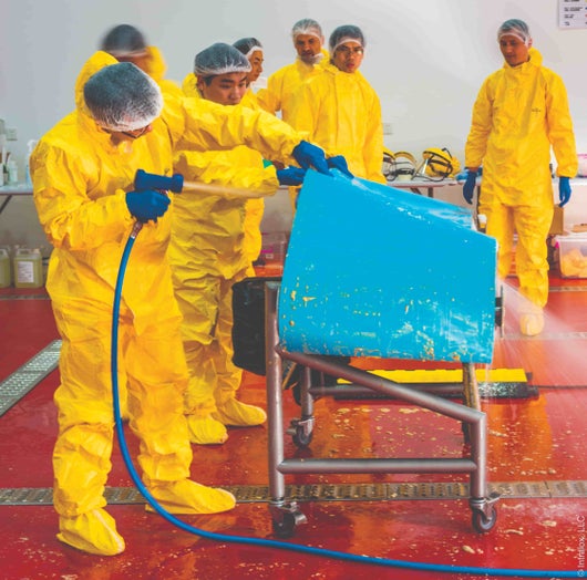 wet sanitation session