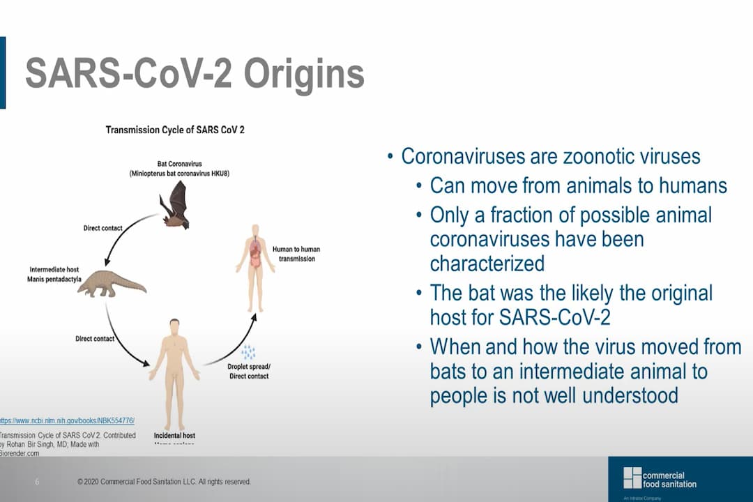 Short Course - COVID19 from a Sanitation Perspective (screenshot)