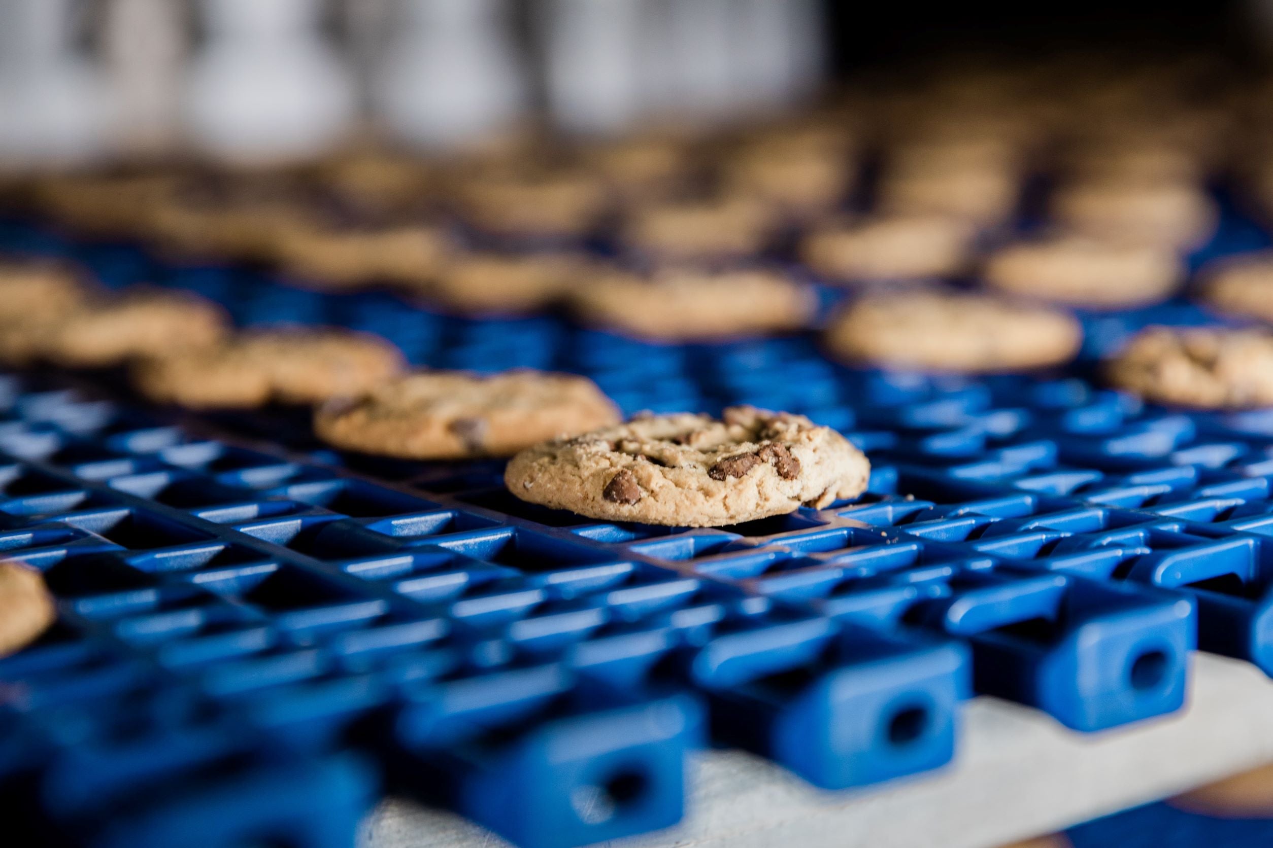 Cookies on conveyor belt