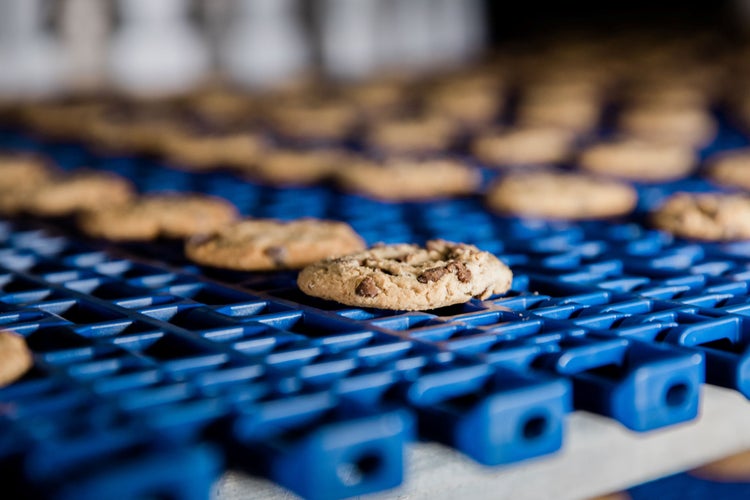 Cookies on conveyor belt
