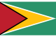 Flag of Guyana