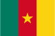 Flag of Cameroon