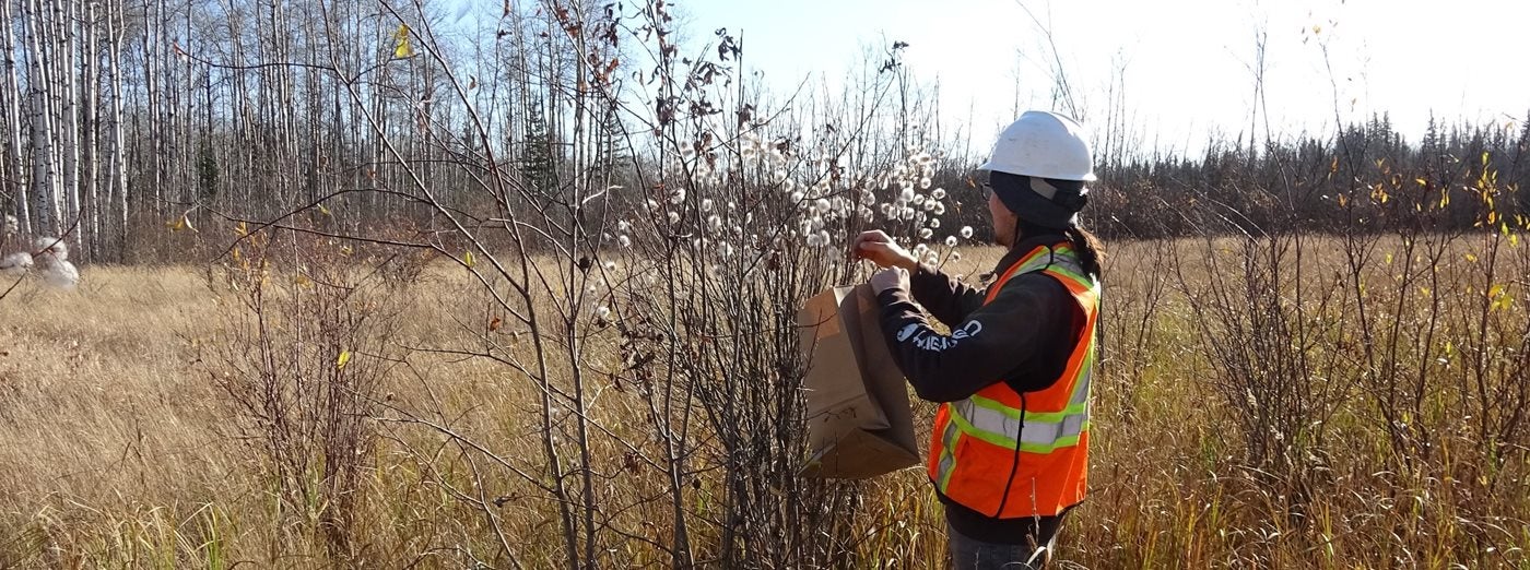 nait-receives-funding-to-develop-360-degree-training-to-help-first-nations-communities-reclaim-boreal-forest-aHR0cHM6.jpg