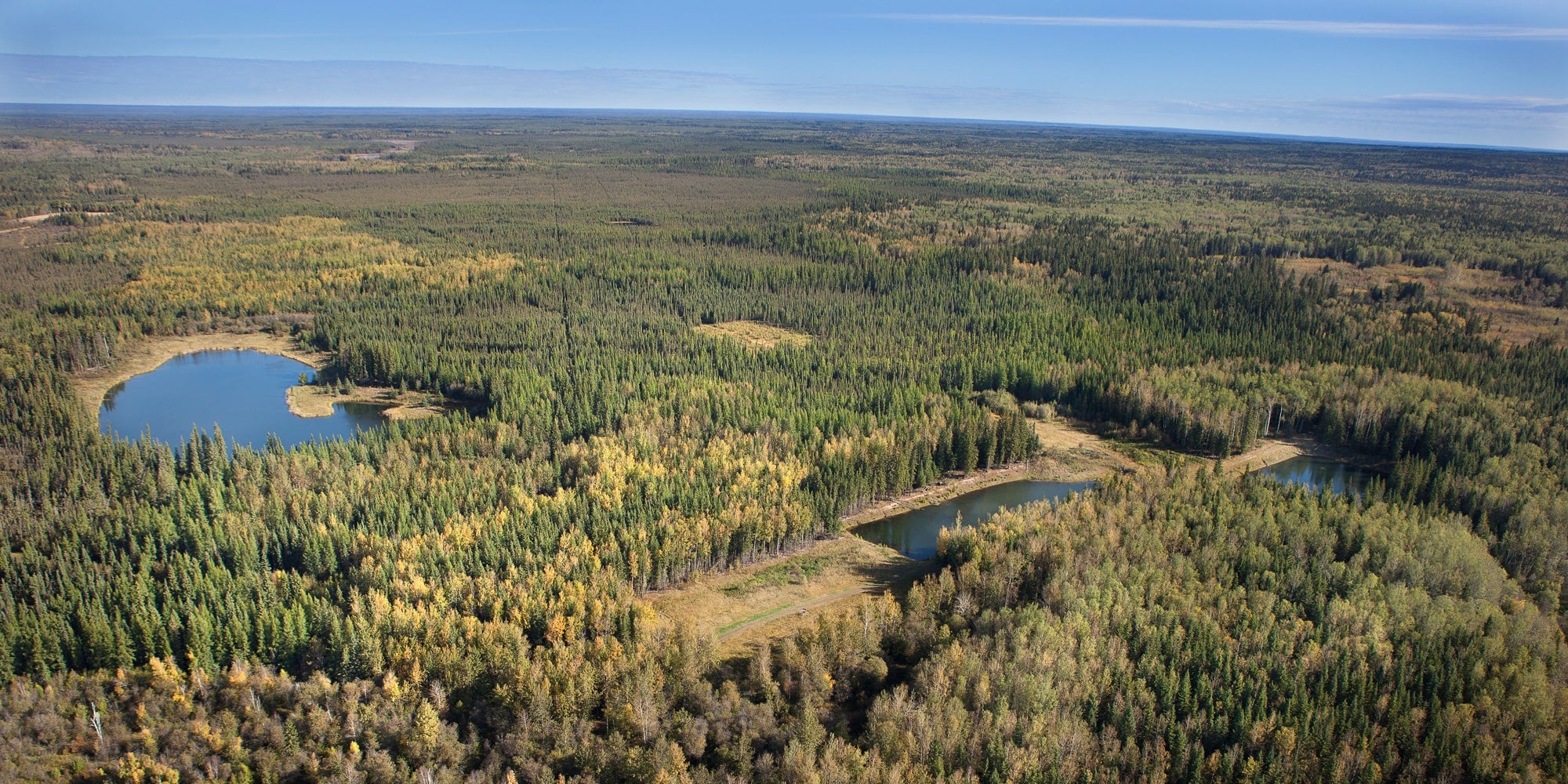 nait-to-develop-virtual-training-to-help-remote-first-nations-communities-remediate-boreal-forest-aHR0cHM6.jpg