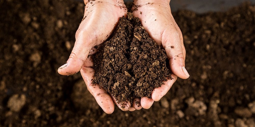 Hands holding dirt in the air
