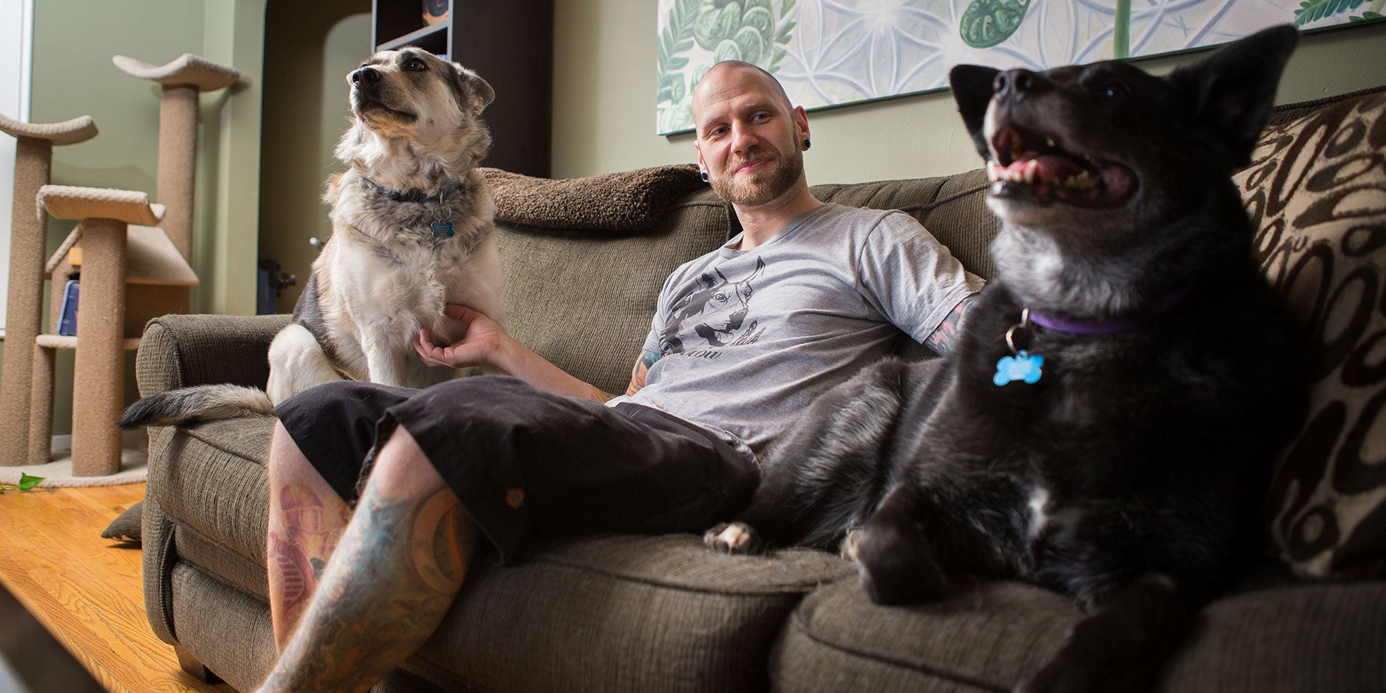 shane-turgeon_s-pursuit-of-happiness-aHR0cHM6.jpg