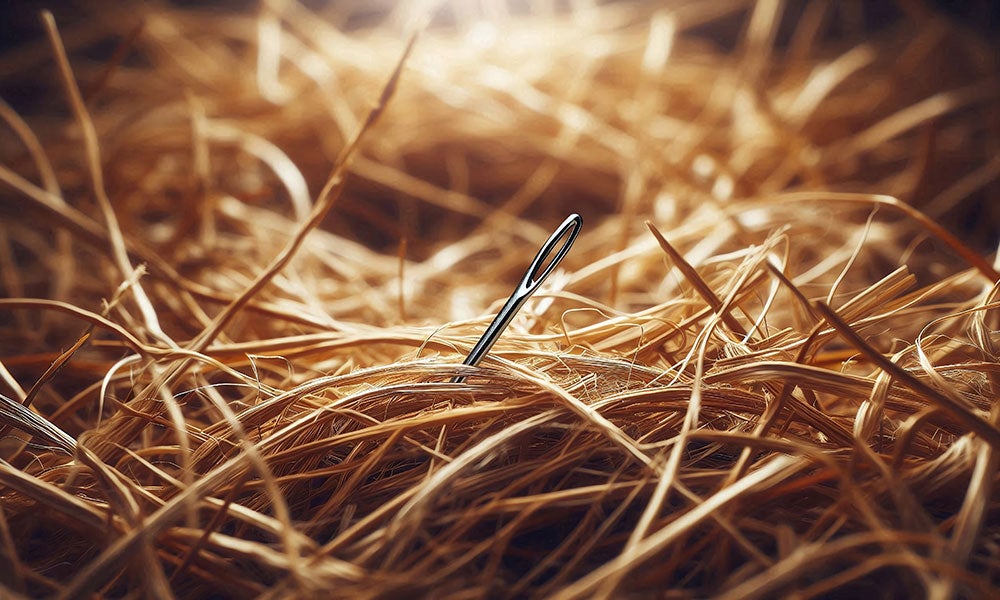 A needle in a pile of hay