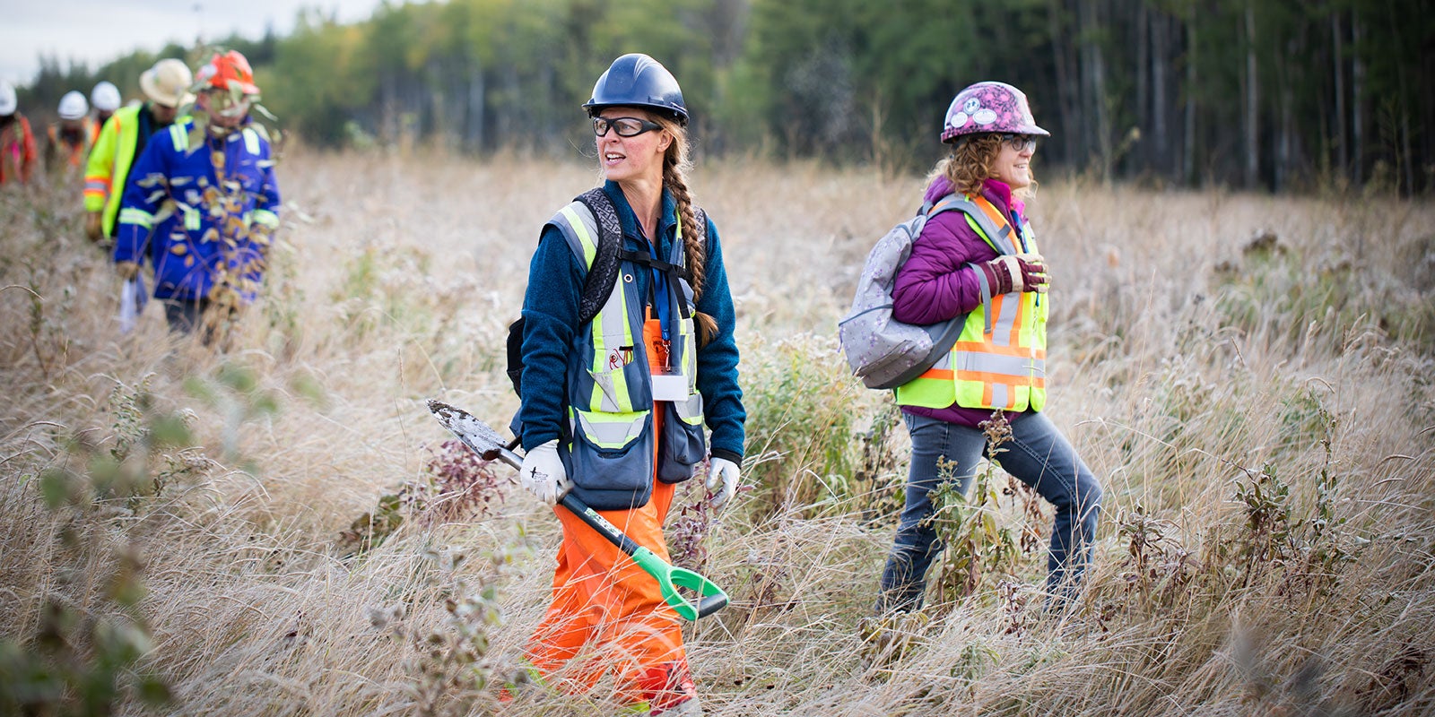 nait-researchers-investigate-new-paths-to-forest-reclamation-aHR0cHM6.jpg