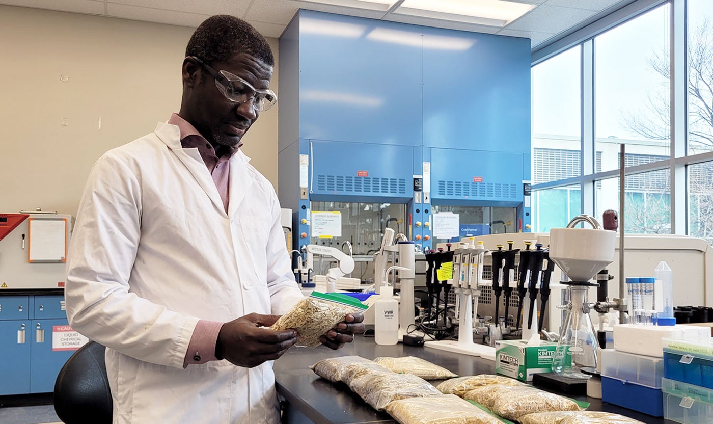 nait-research-project-explores-peat-alternative-to-improve-horticulture-aHR0cHM6.jpg