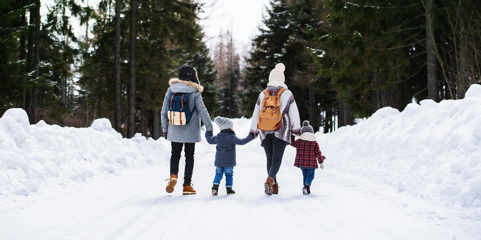 12-things-to-do-in-and-around-edmonton-this-family-day-weekend-aHR0cHM6.jpg