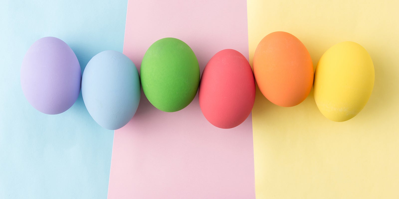 A row of colorful eggs