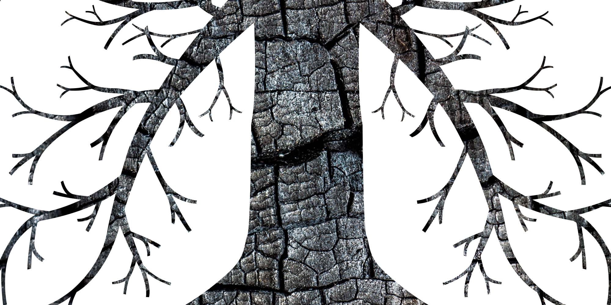 A tree with a black background