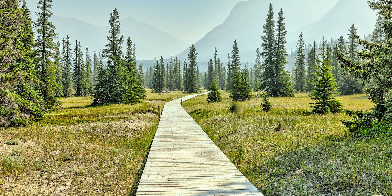 alberta-summer-essentials-(from-nait-grads-and-staff)-aHR0cHM6.jpg