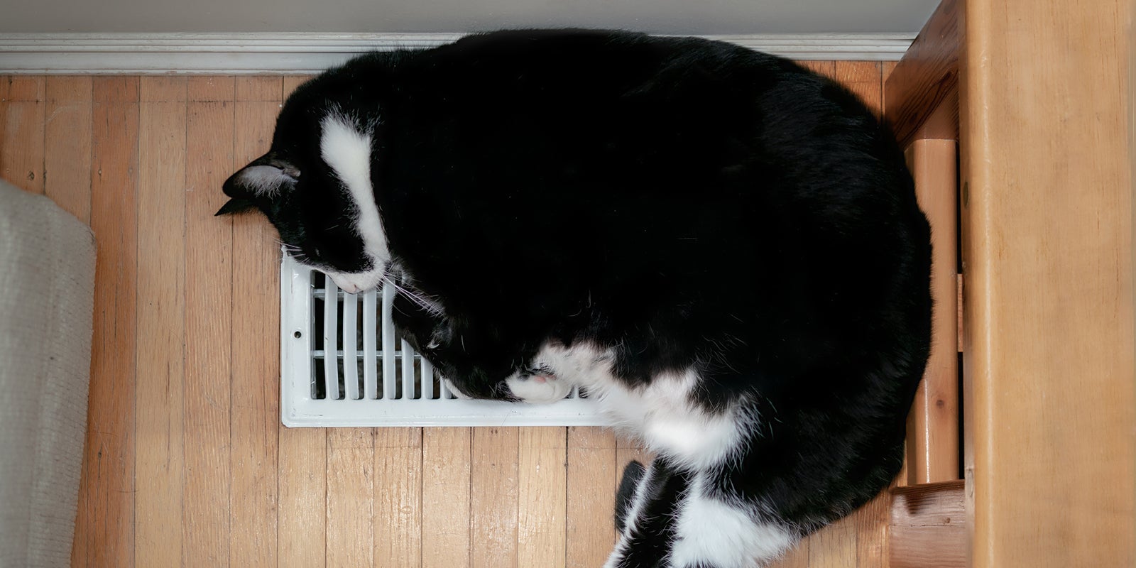 why-you-should-regularly-clean-your-home-furnace-ducts-aHR0cHM6.jpg