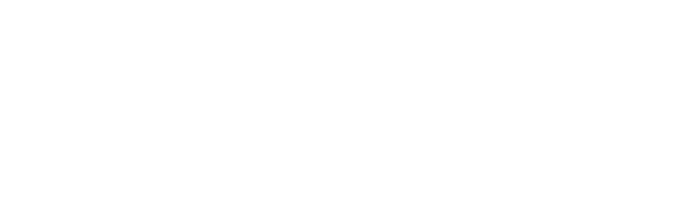 Strategic Development Network (SDN) logo