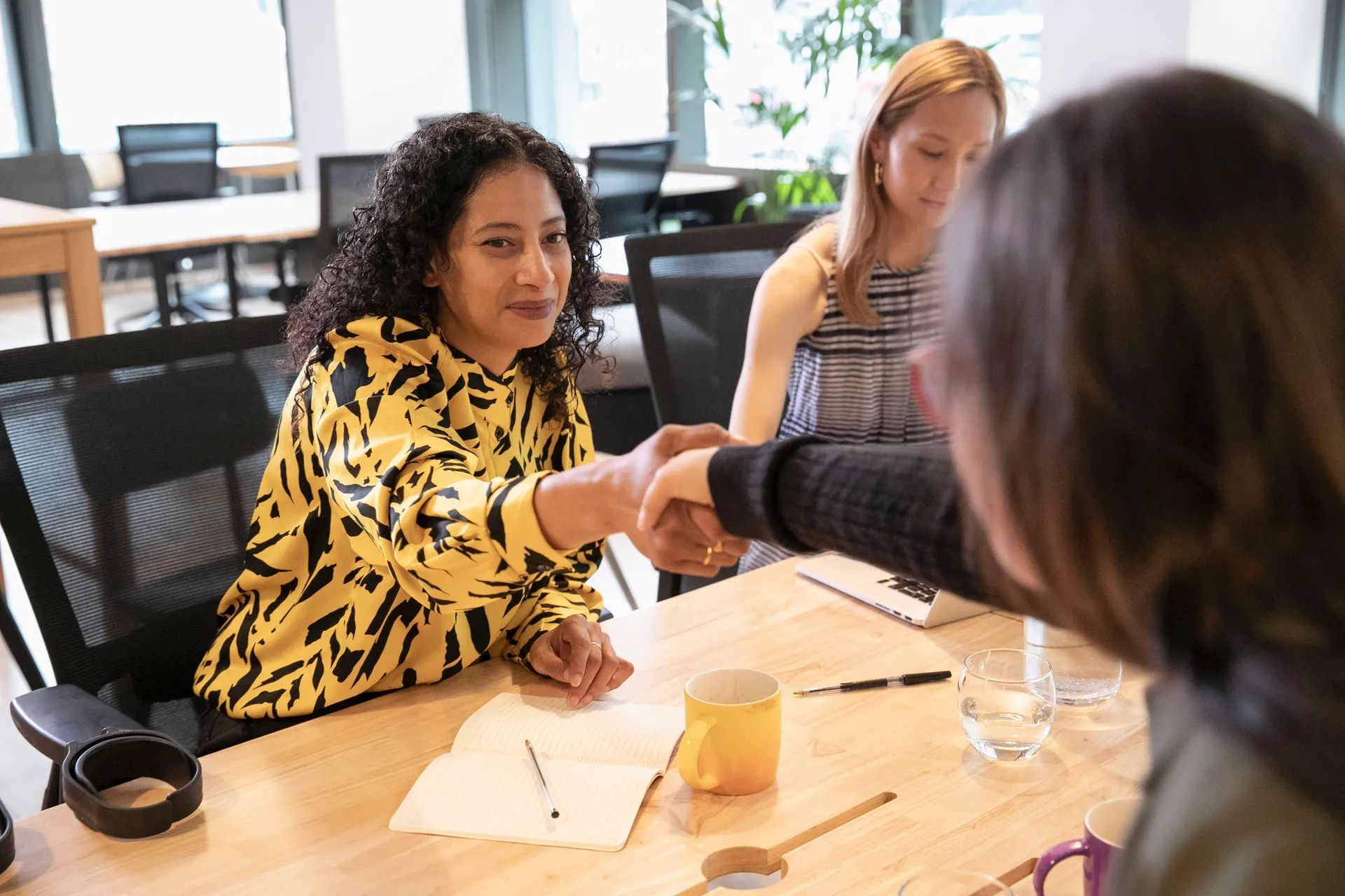 Businesswomen shaking hands in office