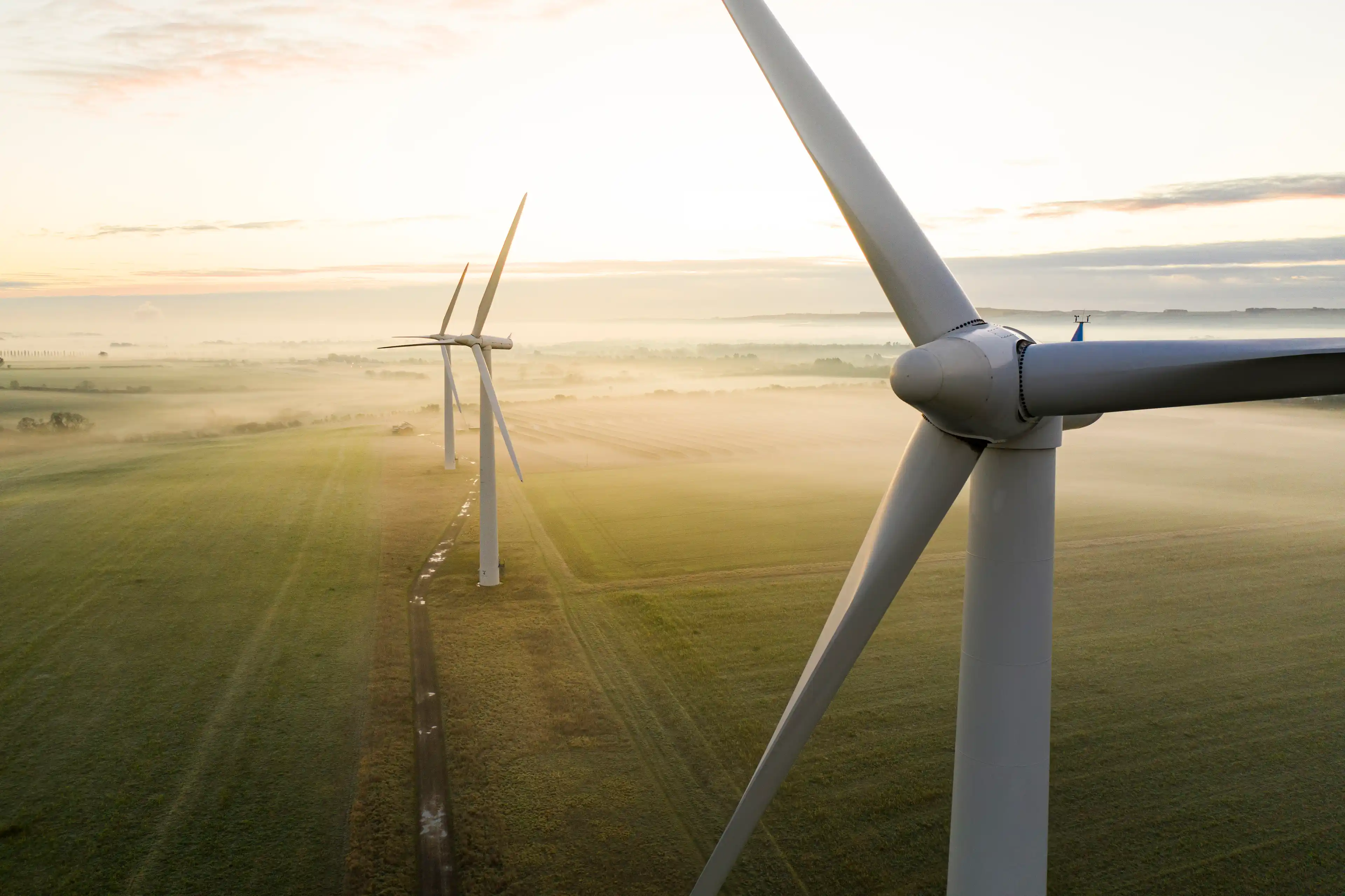 Wind turbines in a field