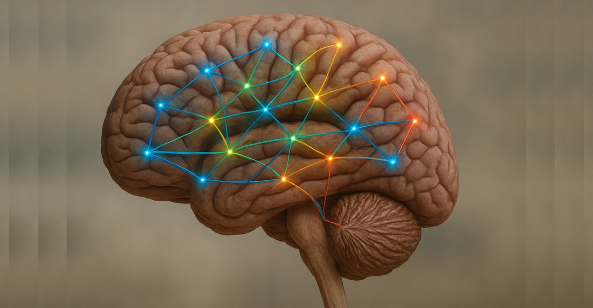New method reveals how brain disorders alter whole-brain communication ...