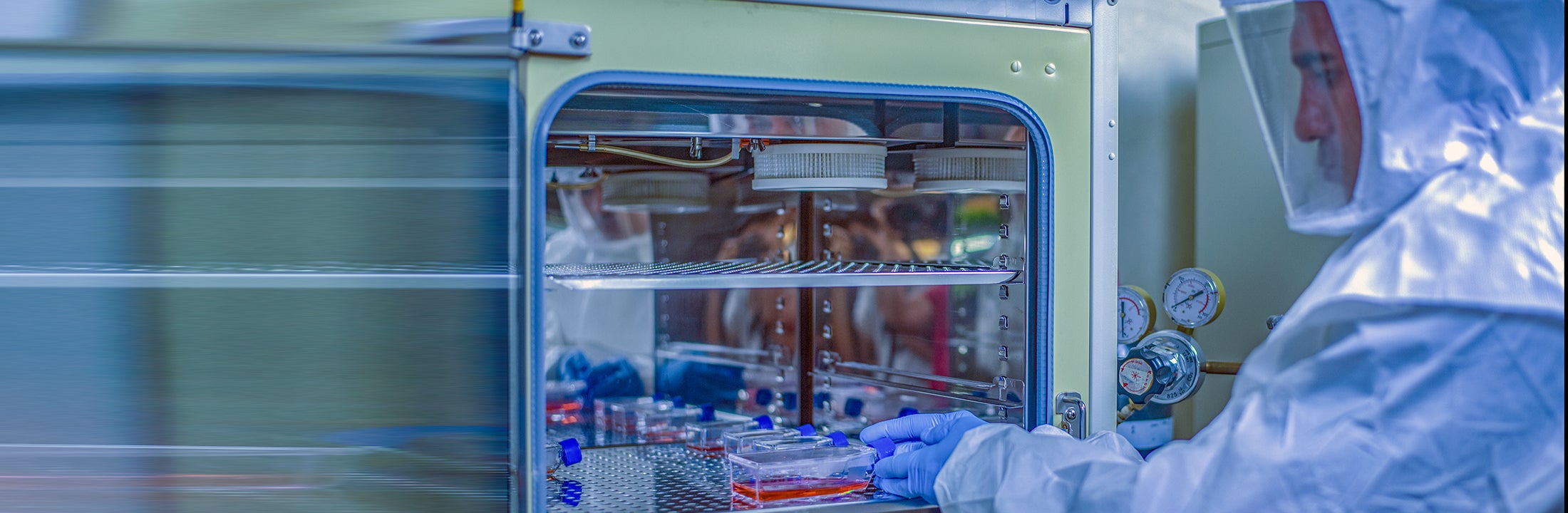 Meet the molecular mechanisms behind biology in the Biomolecular Sciences Master’s programme at VU Amsterdam