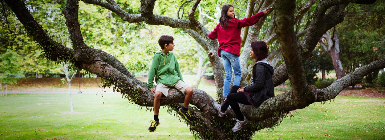 A boy and a girl and a mother are sitting on the branches of a tree