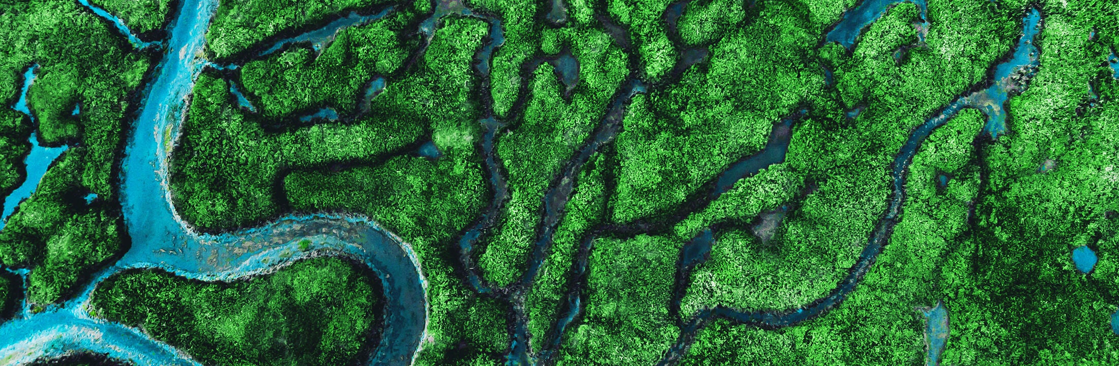 A river mouth in a swamp area