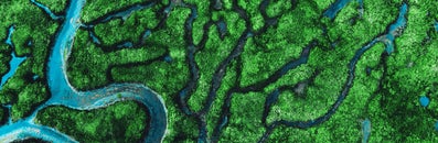 Een riviermonding in een moerasgebied