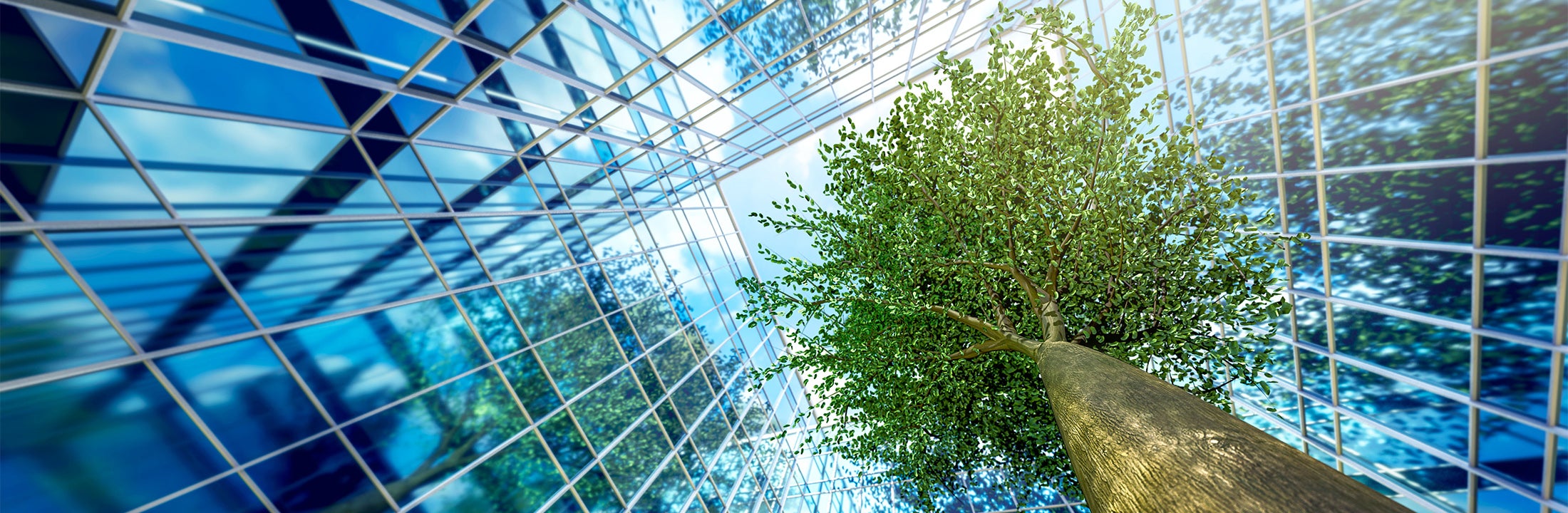 Tree at an office building