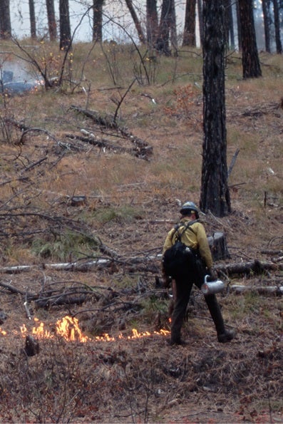 firefighter in woods